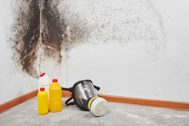 Best Crawl Space Mold Removal  in North Laurel, MD