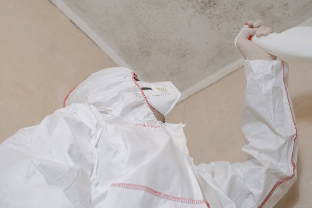 Best Home Mold Removal  in North Laurel, MD
