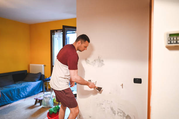 Best Certified Mold Removal  in North Laurel, MD